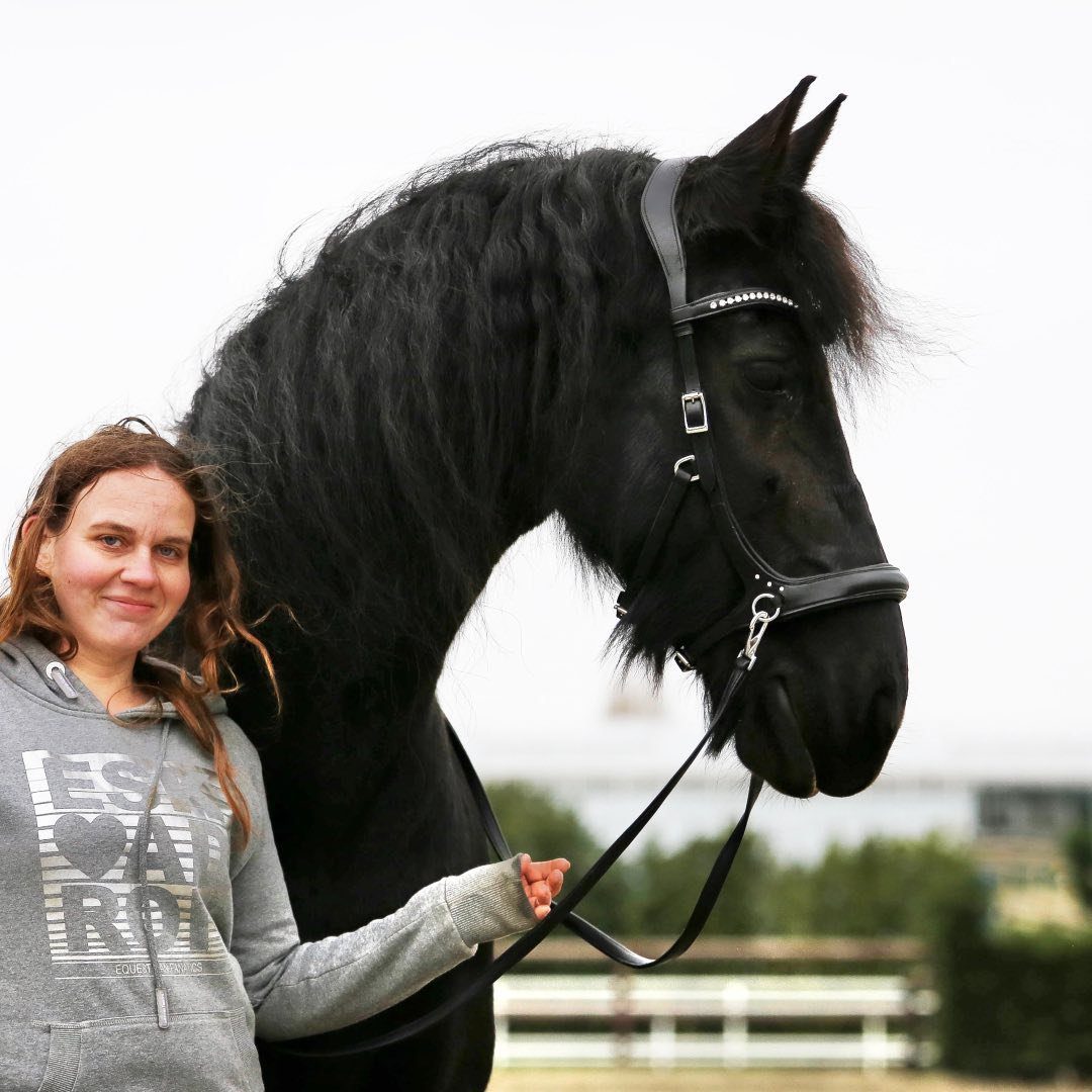 Sharon | Paardenliefhebber, blogger & fotograaf